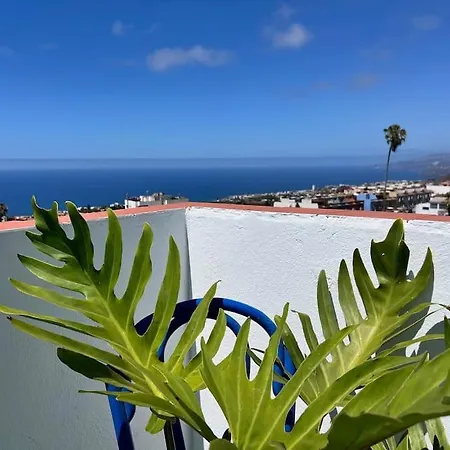 Holiday home The Zarzamora Canary Little